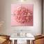 Œillet Harnek rose-109112241