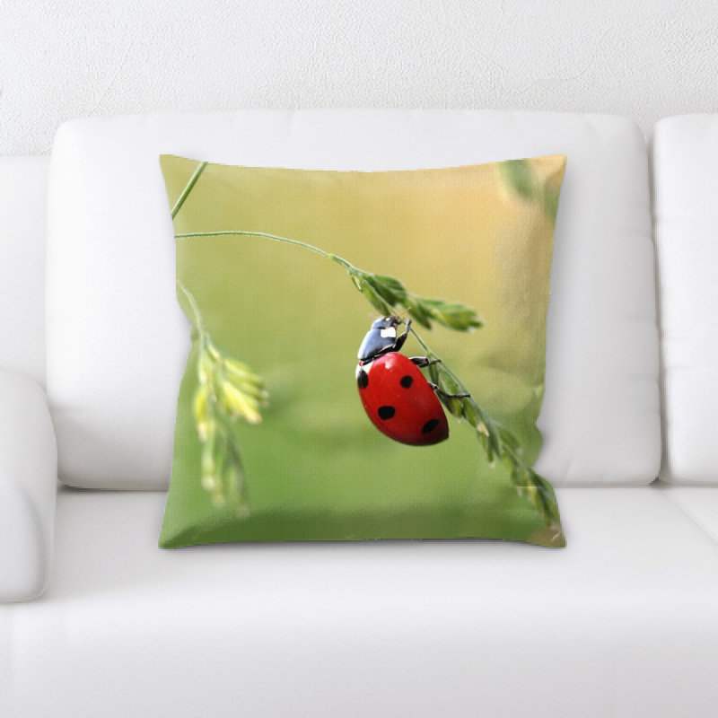 Coussin coccinelle