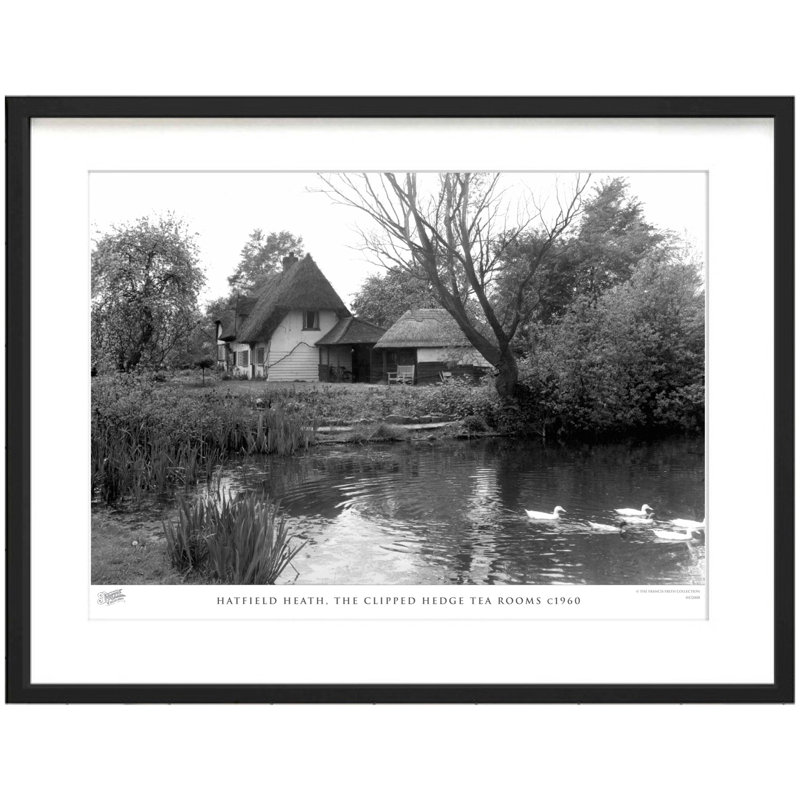 Hatfield Heath, The Clipped Hedge Tea Rooms C1960 by Francis Frith - Single Picture Frame Print, 60cm H x 80cm W x 2.3cm D