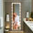 Full Length Mirror With Light