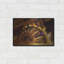 "Nuit blanche" par Sebastien Lory-1368339035
