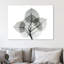 Bo Leaves I - Wrapped Canvas Print-1301394158
