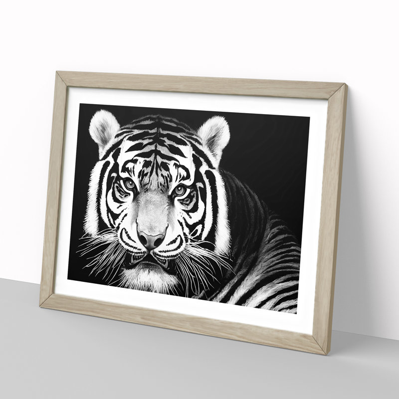 Tiger - Single Picture Frame Print, 46cm H x 64cm W, Oak Framed