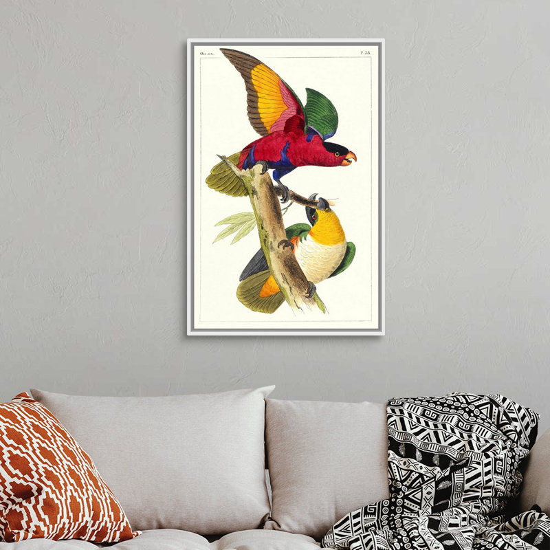 «Lemaire Parrots I», art mural sur toile, Toile blanche encadrée, H 38 po x l 26 po x P 2 po