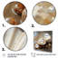 Beige palourde perle - imprimé-1230422399-1230422398