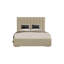 Caylob Upholstered Bed-636300445-636300422