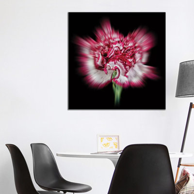 Pink Daisy Flower by Glauco Meneghelli - Wrapped Canvas Print