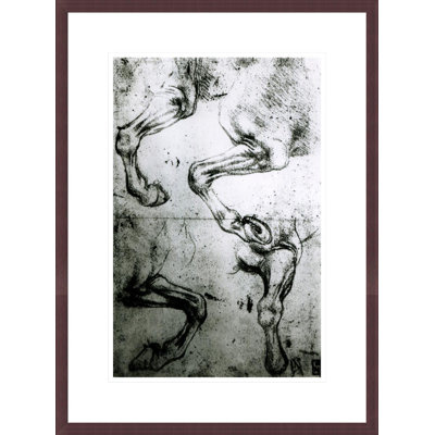 Studies of Horses legs by Leonardo da Vinci -Framed Giclee Print