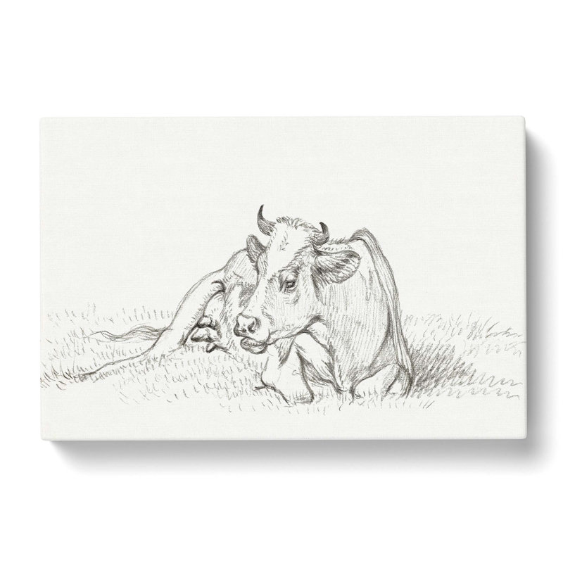 Sketch of a Resting Cow by Jean Bernard - Wrapped Canvas Drawing - Wrapped Canvas, 40cm H x 60cm W x 3cm D