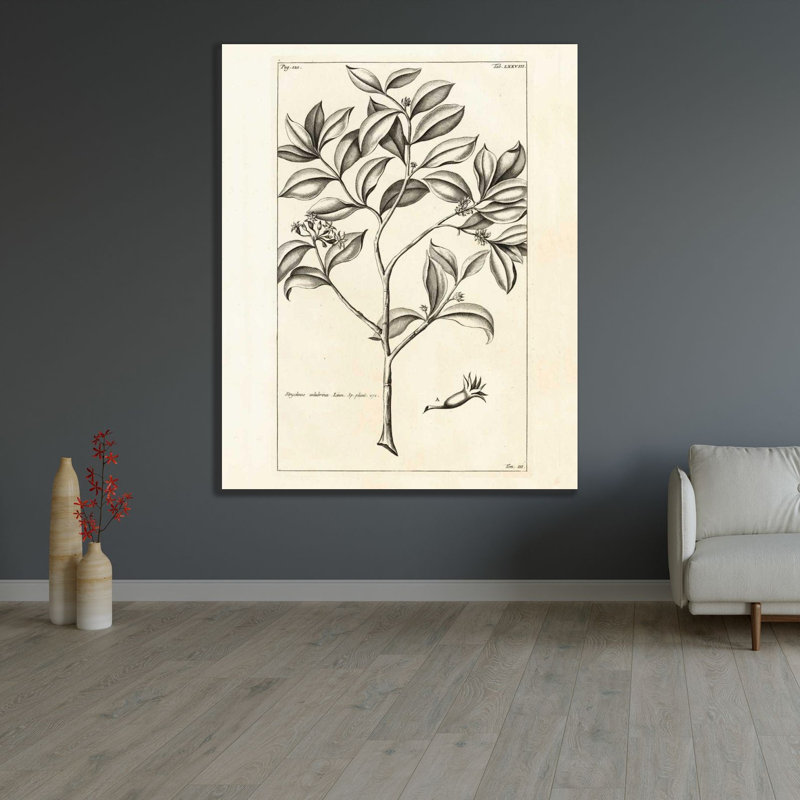  Art sur toile tendue, Wild Apple Portfolio Gallery, 48" H x 60" W