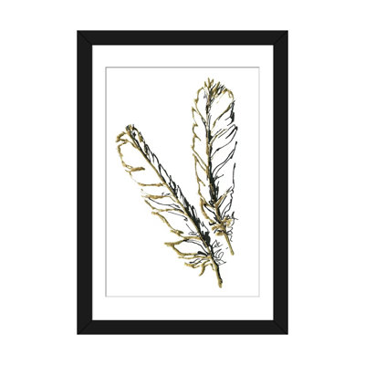 « gilded red-tailed hawk plumes », reproduction de dessin sur toile