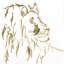 « gilded lion », impression sur toile-20828491-73159905-73159913