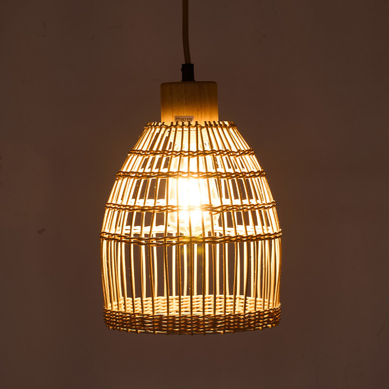 1 - Light  Pendant