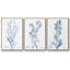 Ensemble de 3 pièces botaniques antiques en bleu I sur toile tendue-97759527-97759528