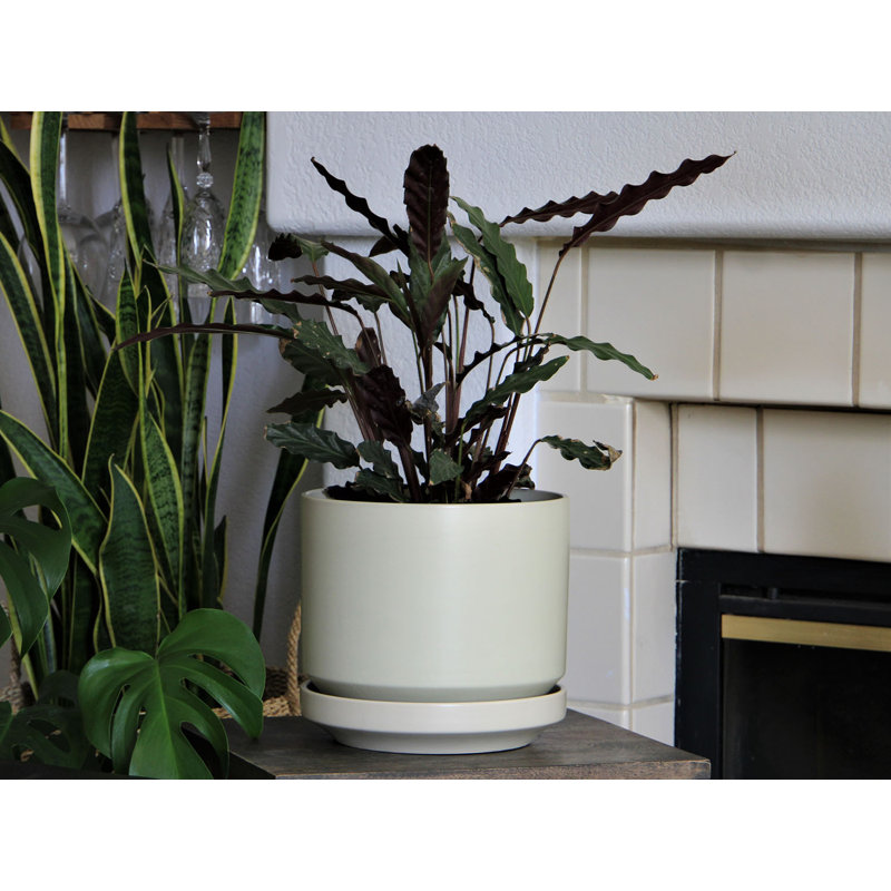 Pot de fleurs moderne Melrose en céramique émaillée (lot de 2) - Intérieur/Extérieur, Gris ambré clair