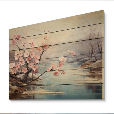 " Japan Cherry Blossom Serenity I "