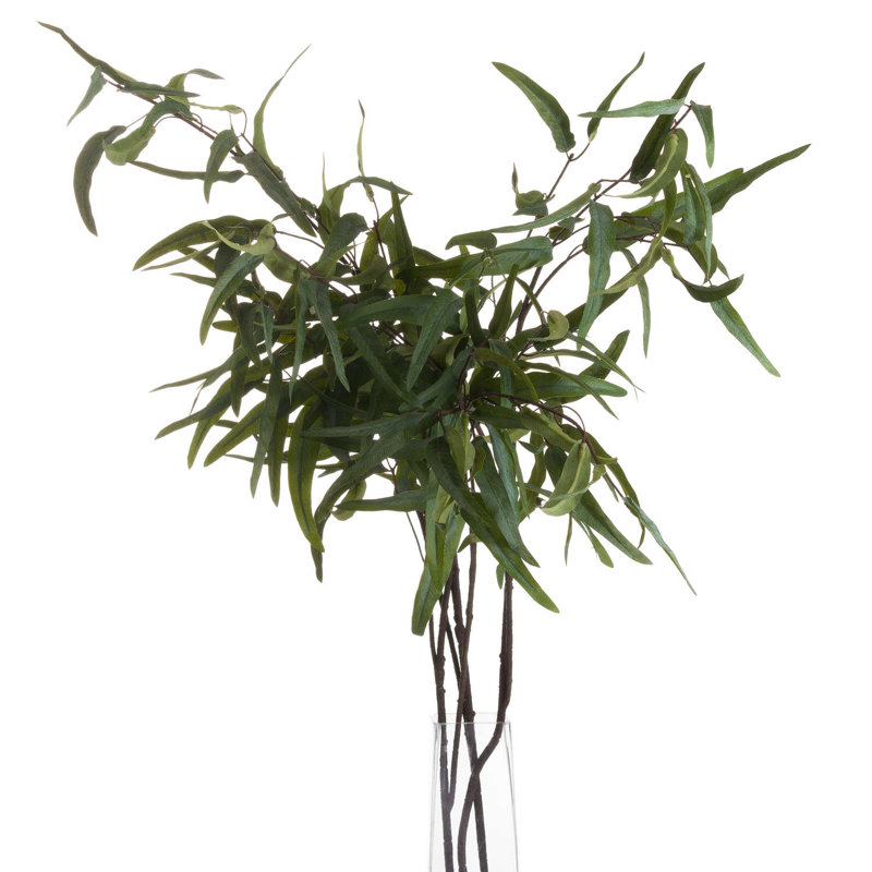 Anastasija Arrangement