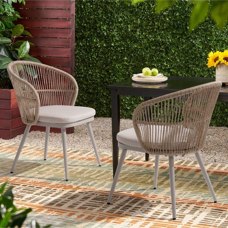 Brittenham Weather-Resistant Patio Dining Chair (Set of 2), Brown/Beige