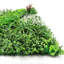 Paravent 40 po Eucalyptus