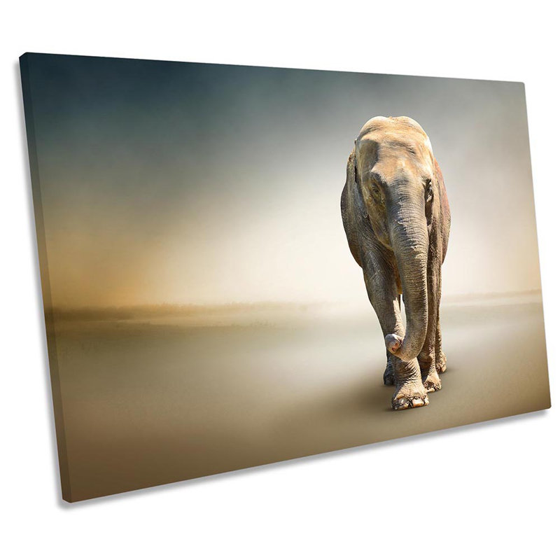 Elephant African - Wrapped Canvas Print, 61cm H x 91.4cm W x 4cm D