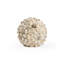 Sculpture coquille de coquillage-68620328