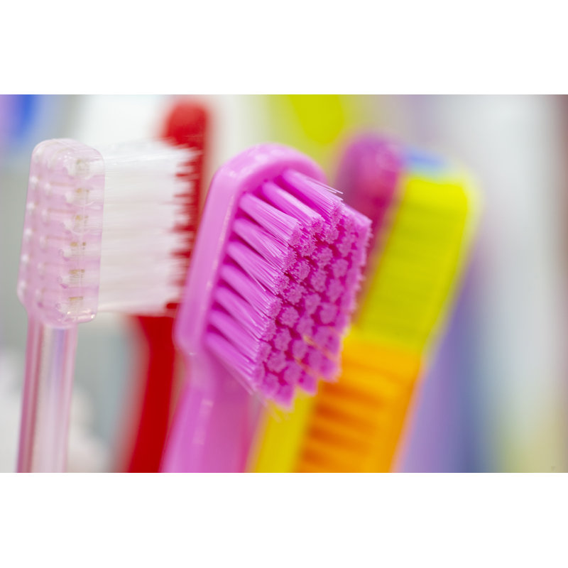 Forti, image d'une brosse à dents sur toile, H 8 po x l 12 po