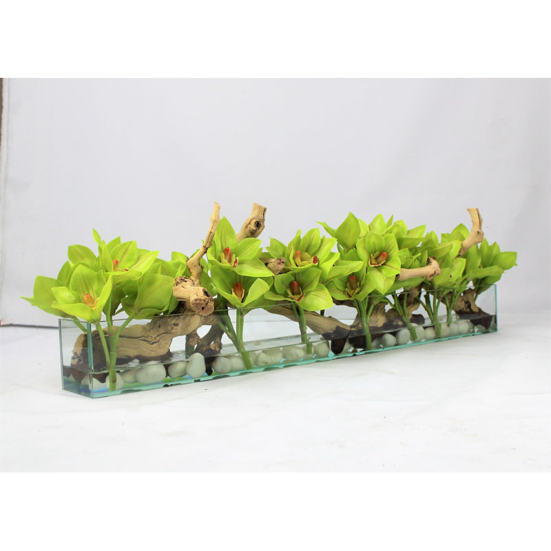 Casa Moderna Glass Plate Orchids Floral Arrangement in Planter