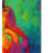 Kucera 'Pear V' Print on Wrapped Canvas-22073006