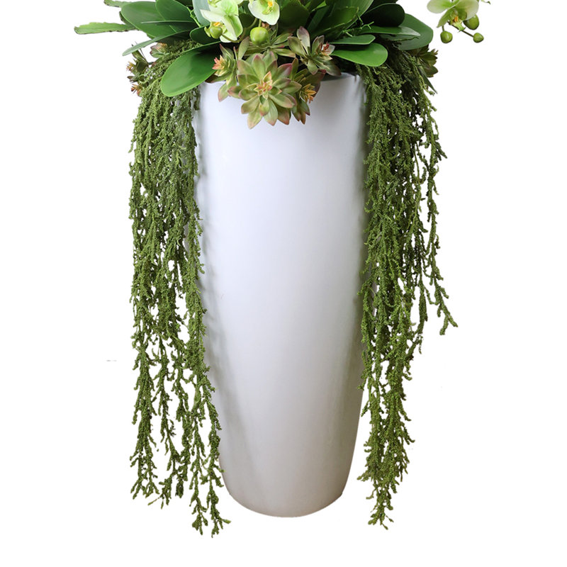 Orchid Arrangement with Cactus in Fiberstone Planter, Green