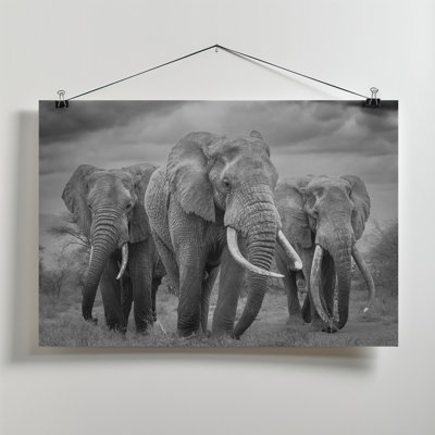Wrapped Canvas Print