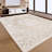 Braidon Abstract Area Rug-1859480312