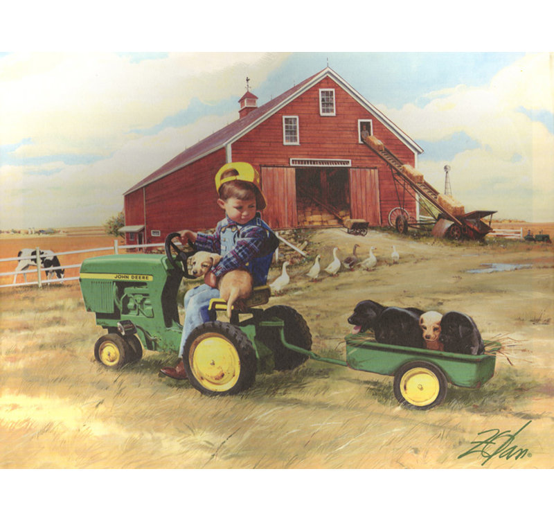 Tracteur, H 18 po x l 24 po