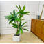 Arbre artificiel 47,24 po Dracaena-1702090488