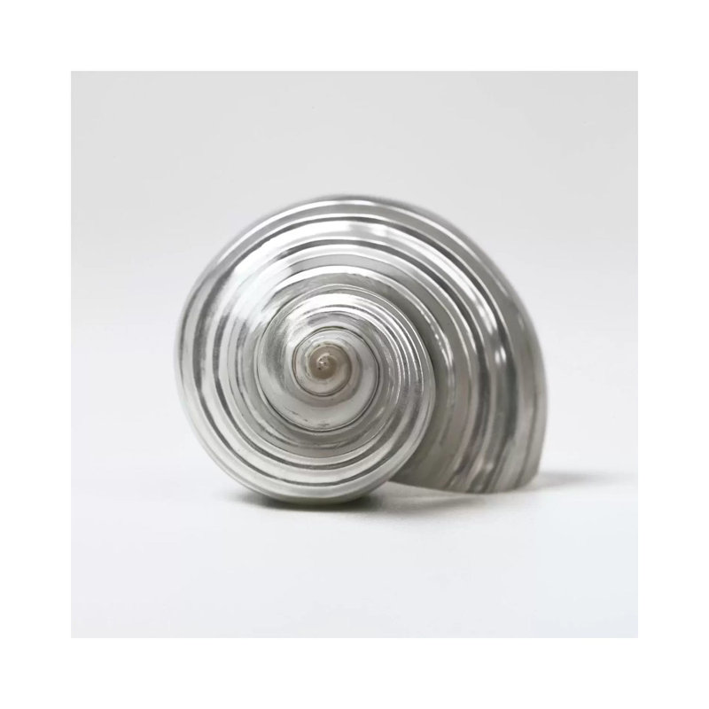 Beachside Treasure II by Assaf Frank - Wrapped Canvas Print, 45.72 cm H x 45.72 cm W x 1.91 cm D