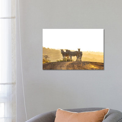 Zebras In Africa by Anders Jorulf - Wrapped Canvas Print