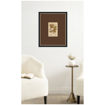 «Vintage Botanical PDXC24409b» par Corinna Buchholz de Piddix, reproduction d'art encadrée