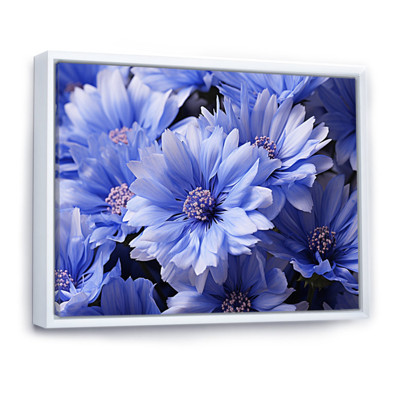 Cornflowers Field II - Floral Canvas Wall Art, H 12 po x l 20 po x P 1 po, Cadre flottant blanc