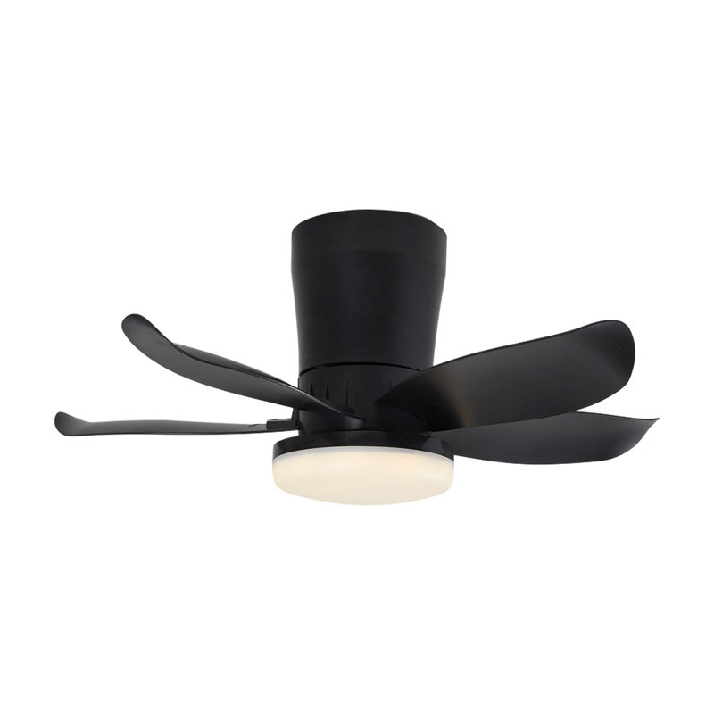 Ceiling Fan with LED Lights, Black