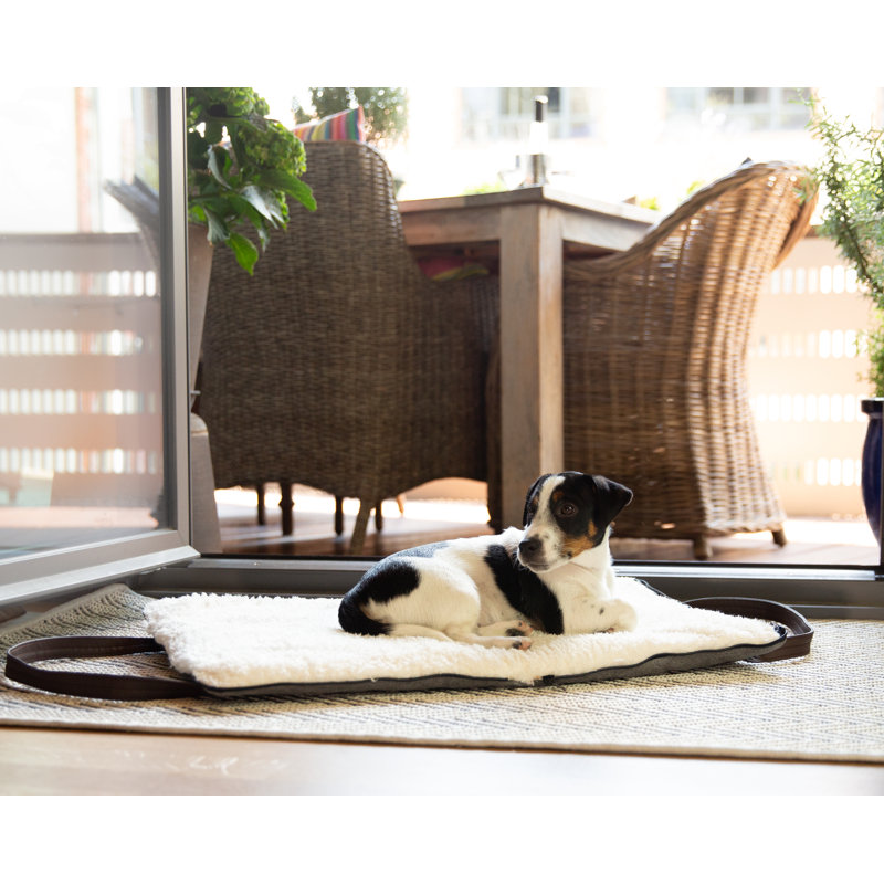 Polyester Pet Bed, Medium 50  x 90 cm