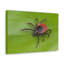 No Frame Print on Canvas