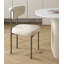 Nordic Carbon Steel Backrest Dining Chair