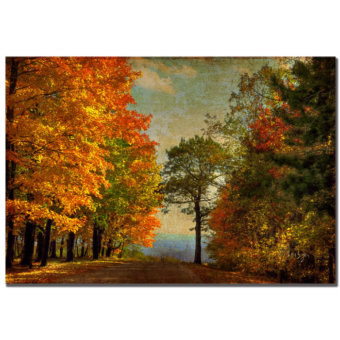 « on the mountain » par lois bryan, reproduction de photo sur toile tendue encadrée Halke, H 22 po x l 32 po x P 2 po
