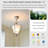 11.42" Simple Shell-Shaped 3-Color Ceiling Light – Minimalist Dimmable Lighting