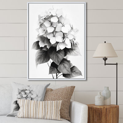 " Gray White Hydrangea Bloom IV "
