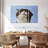 Brampt Refreshed Cat-107999366