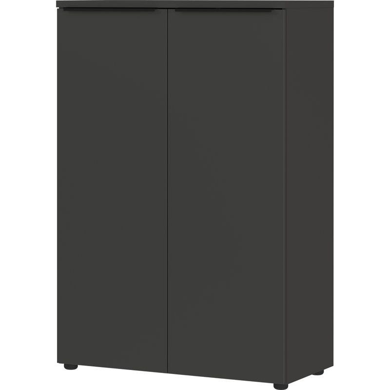 Mastandrea 2 -Door 3 -Shelf Storage Cabinet, Graphite