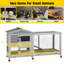 Weather Resistant Hutch with Ramp-1717742242