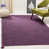 Black/Purple