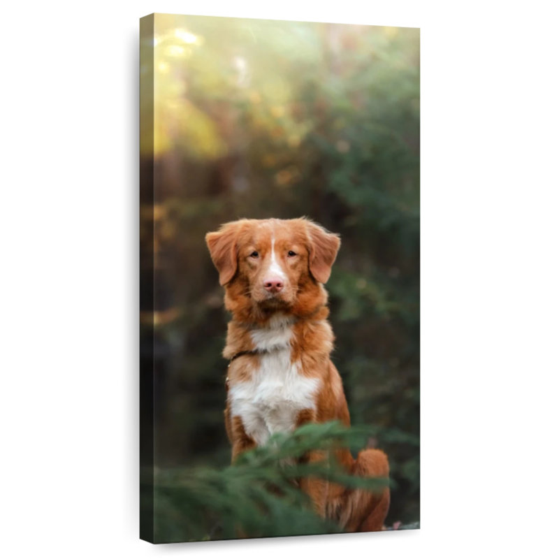 Chien retriever dans la forêt, H 48 po x l 24 po