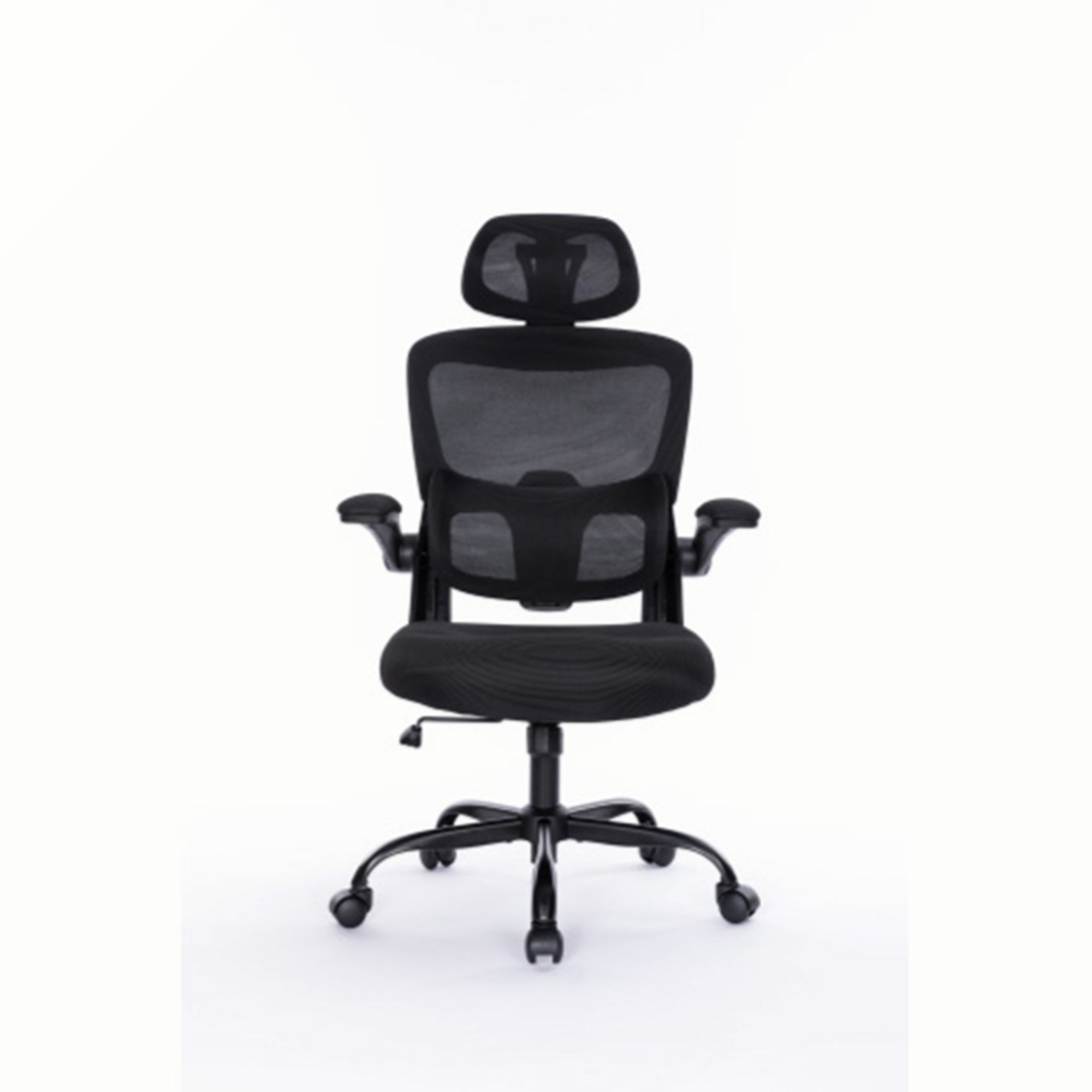 Ivy Bronx Ergonomic Mesh Office Chair With 3D Adjustable Lumbar Support